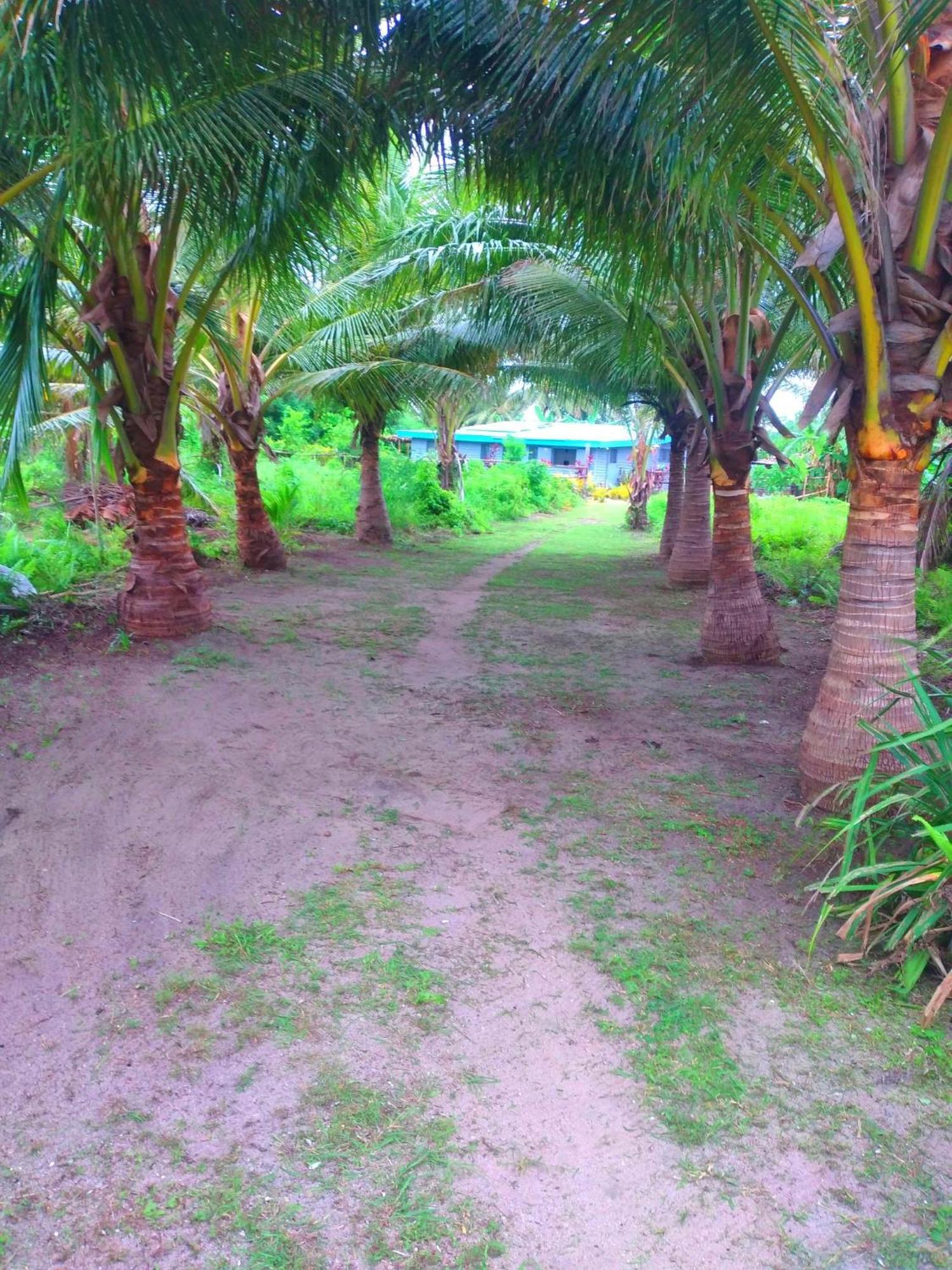 Ravita Cove Homeaway From Home Homestay Matacawalevu Island Eksteriør billede